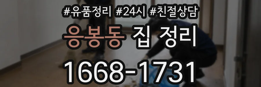응봉동 집 정리