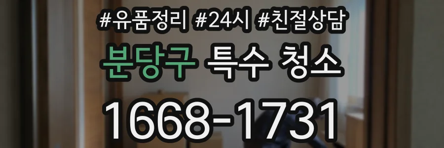 분당구 특수 청소