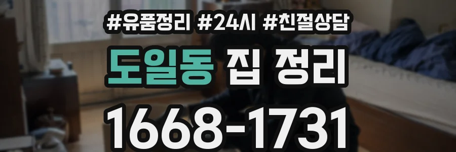 도일동 집 정리