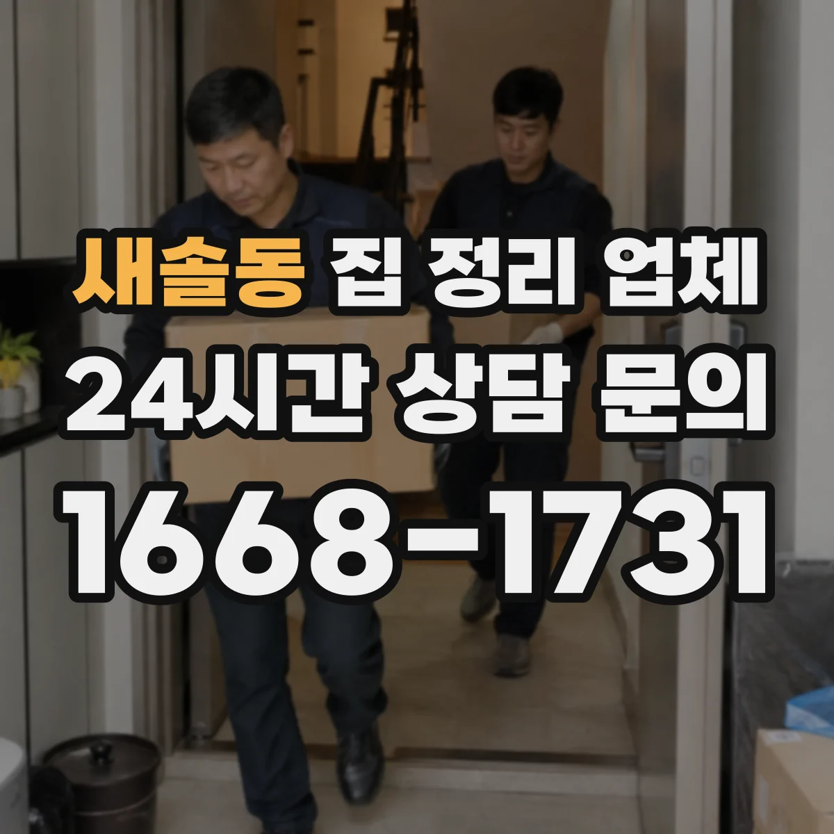 새솔동 집 정리 업체