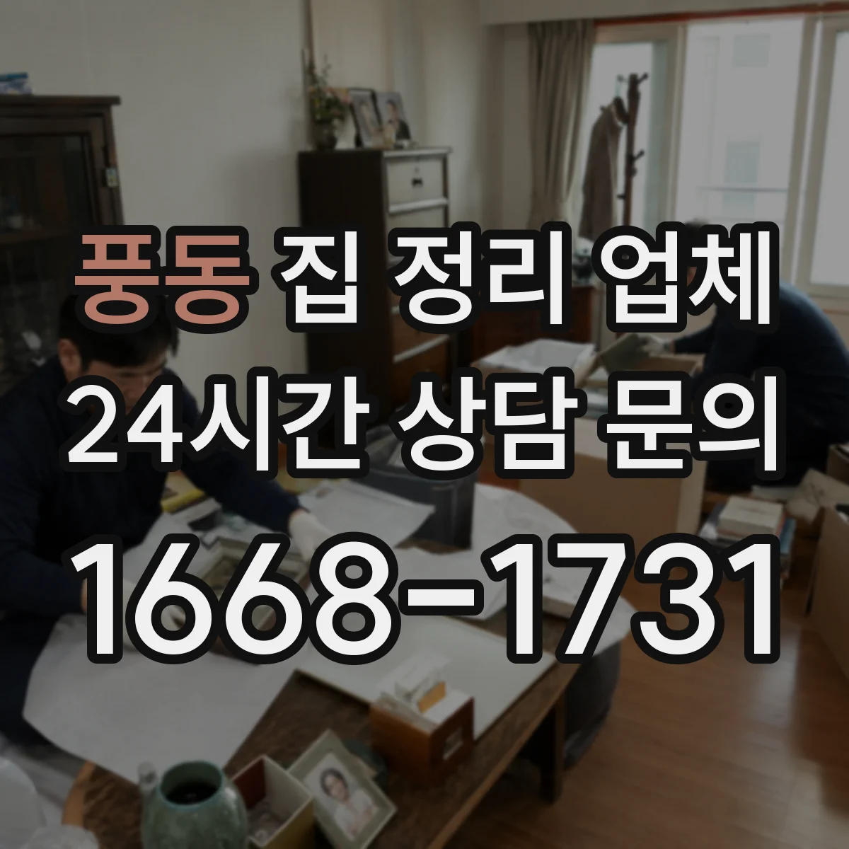 풍동 집 정리 업체