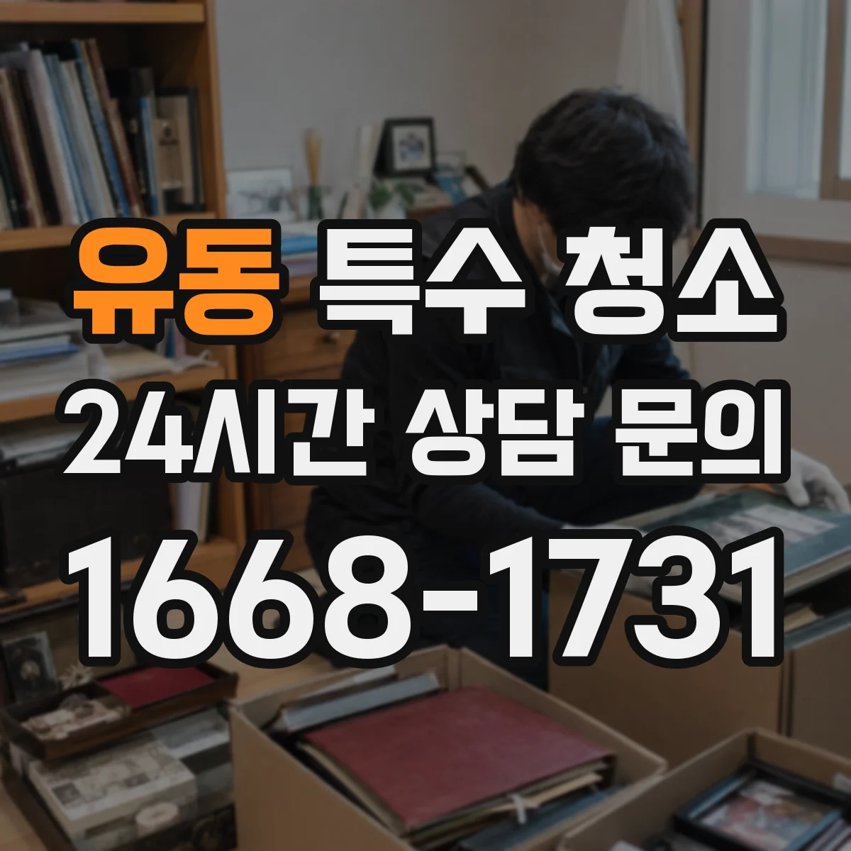 유동 특수 청소