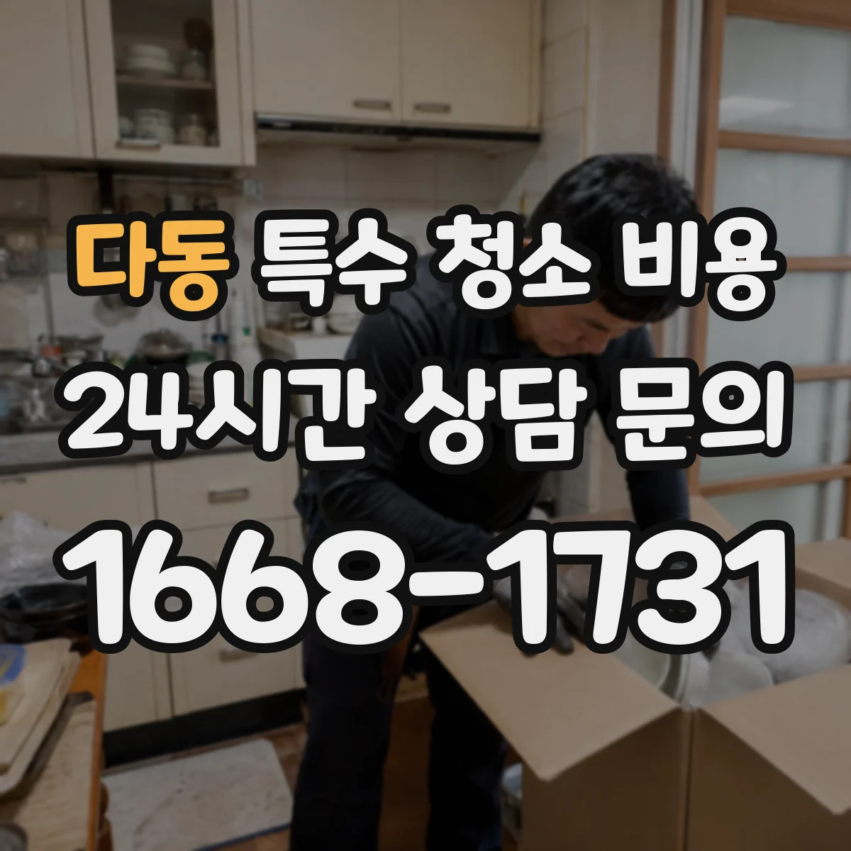 다동 특수 청소 비용