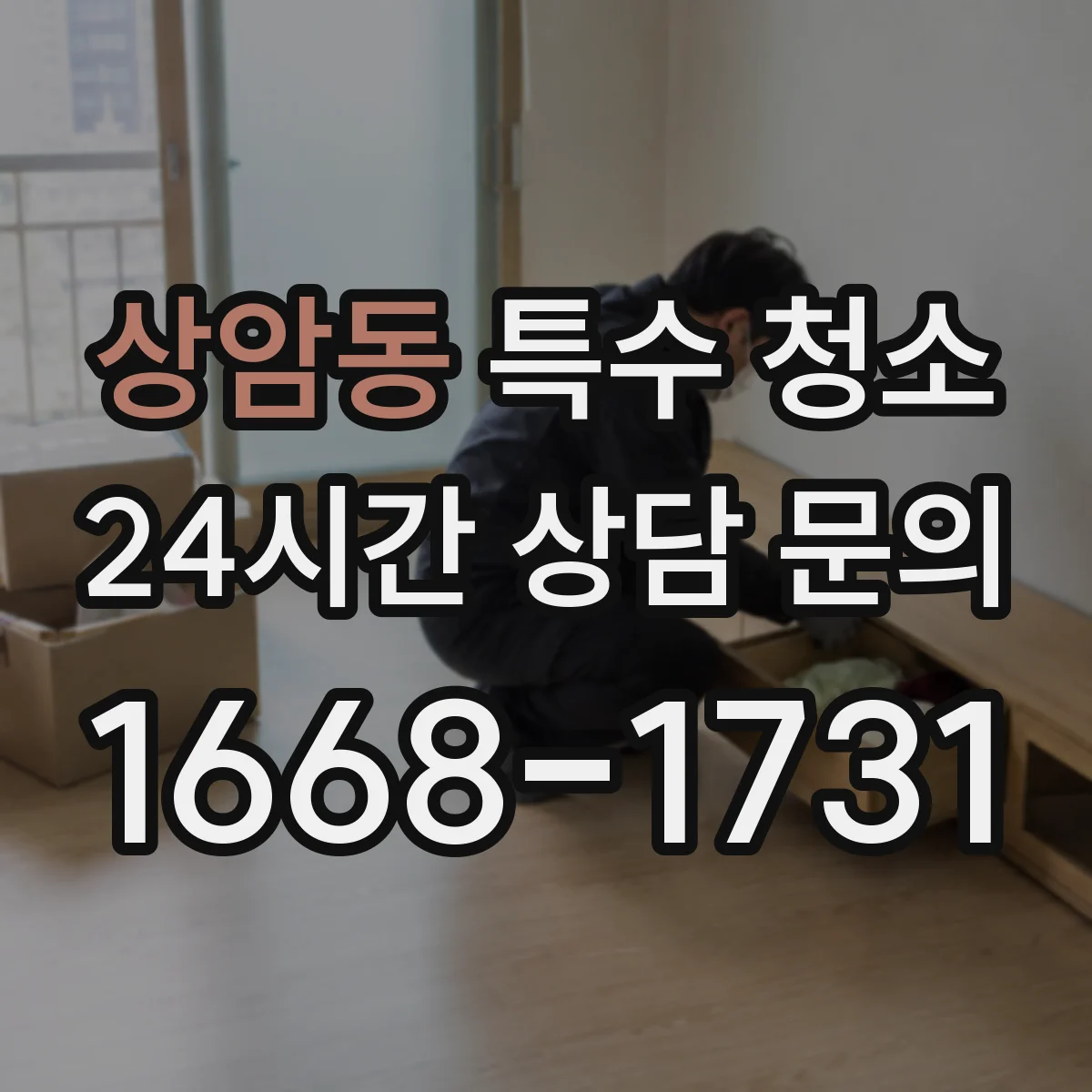 상암동 특수 청소