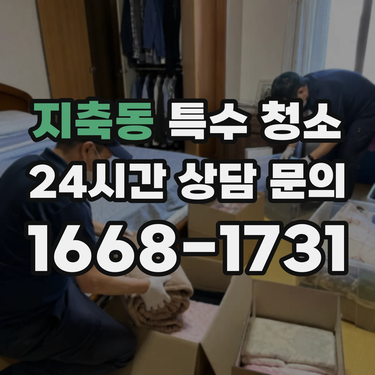 지축동 특수 청소