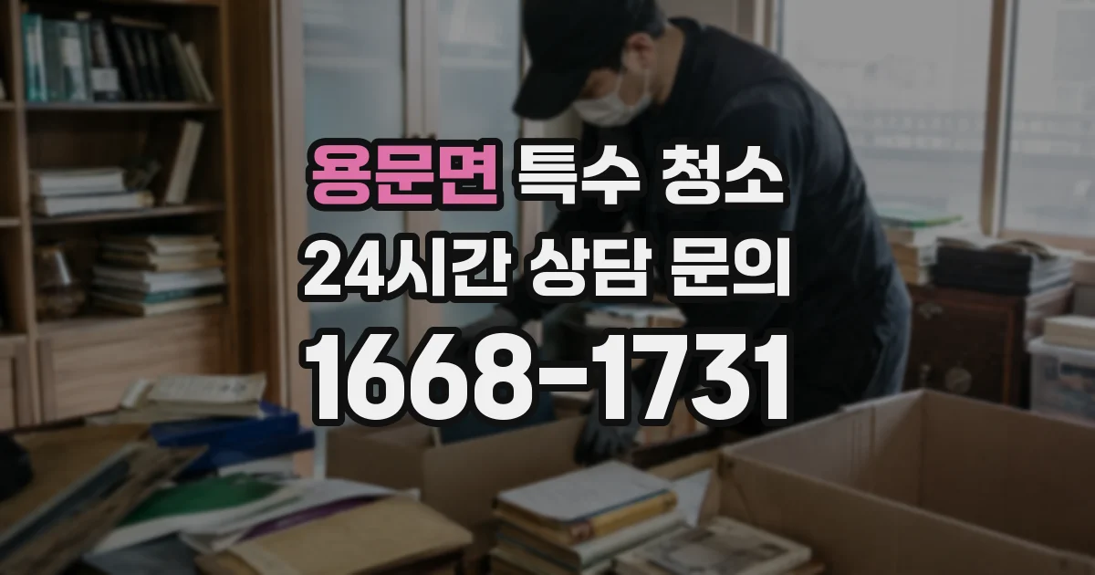 용문면 특수 청소