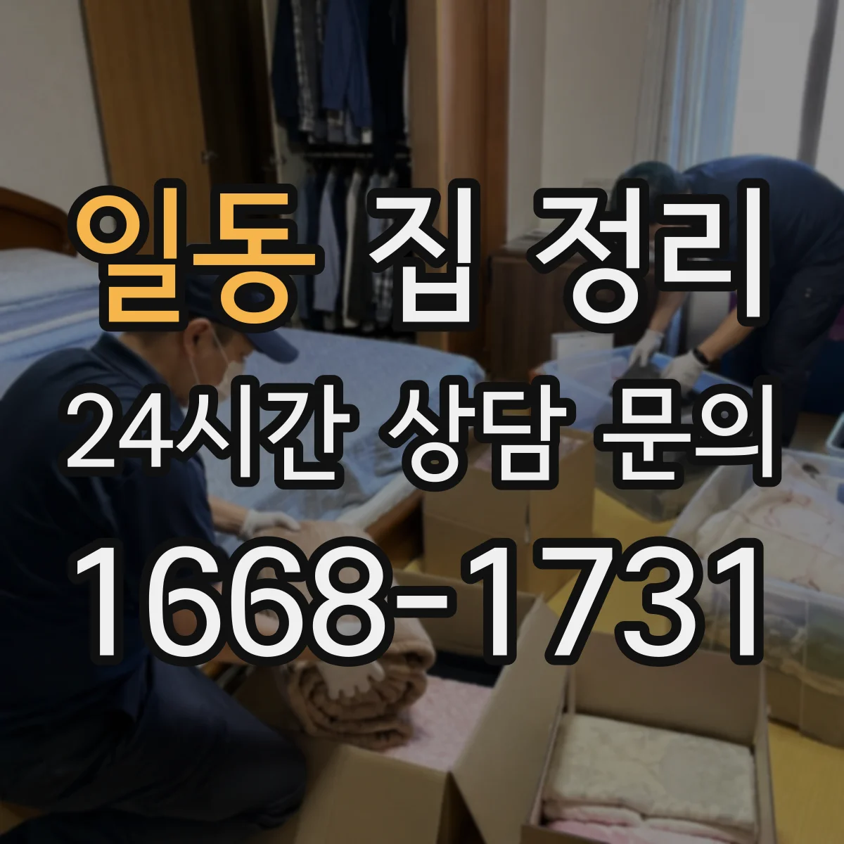일동 집 정리
