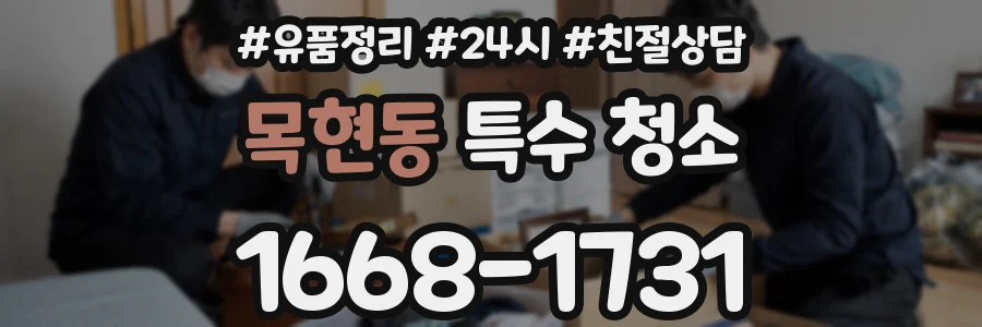 목현동 특수 청소