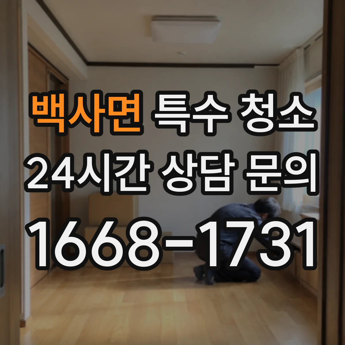 백사면 특수 청소