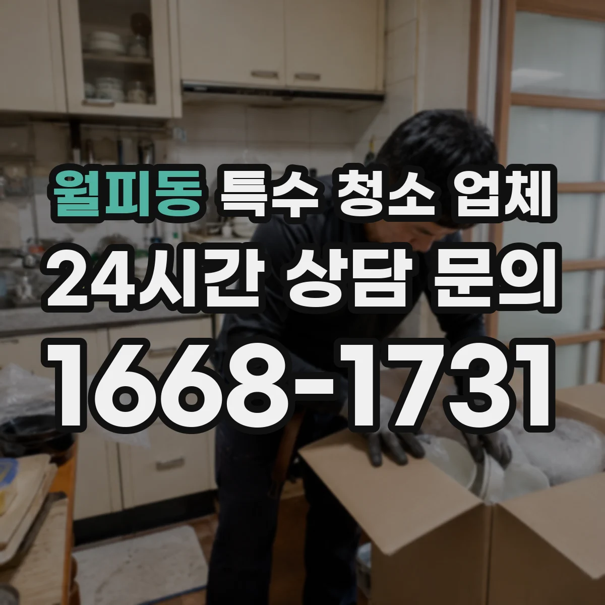 월피동 특수 청소 업체
