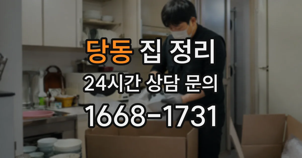 당동 집 정리