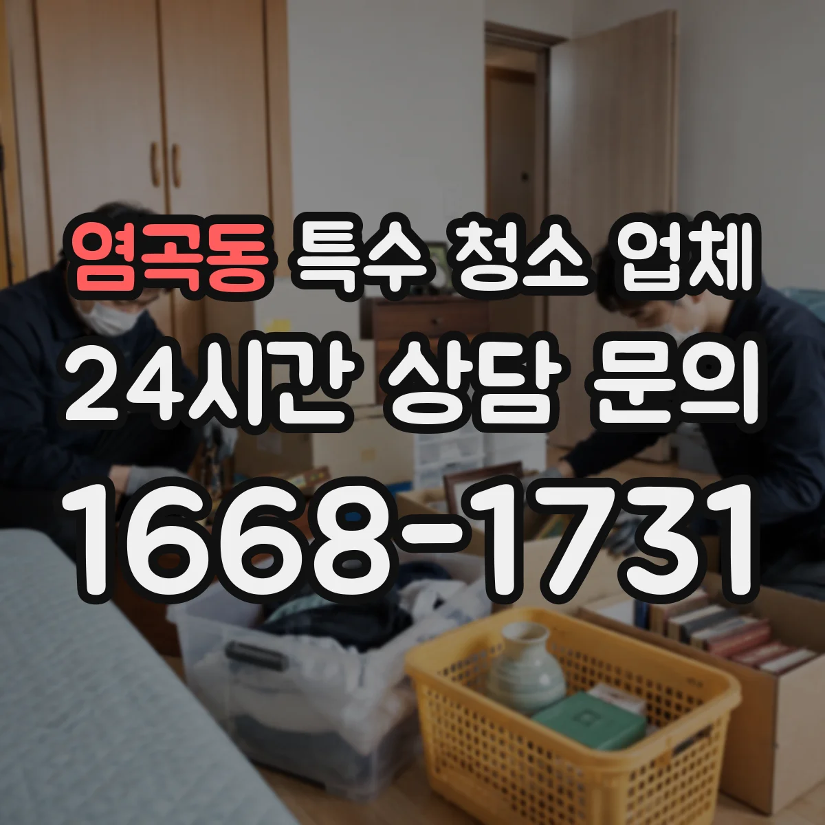 염곡동 특수 청소 업체