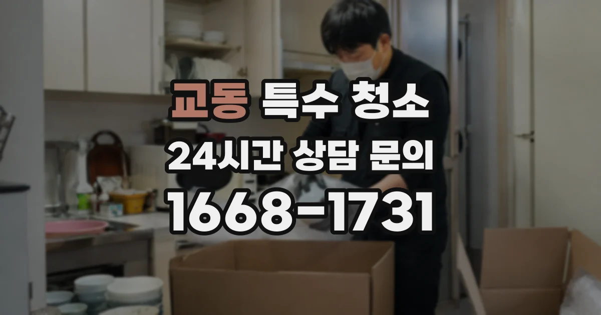교동 특수 청소