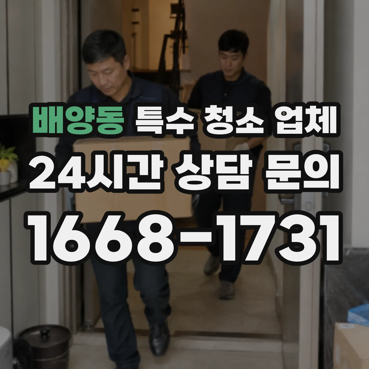 배양동 특수 청소 업체