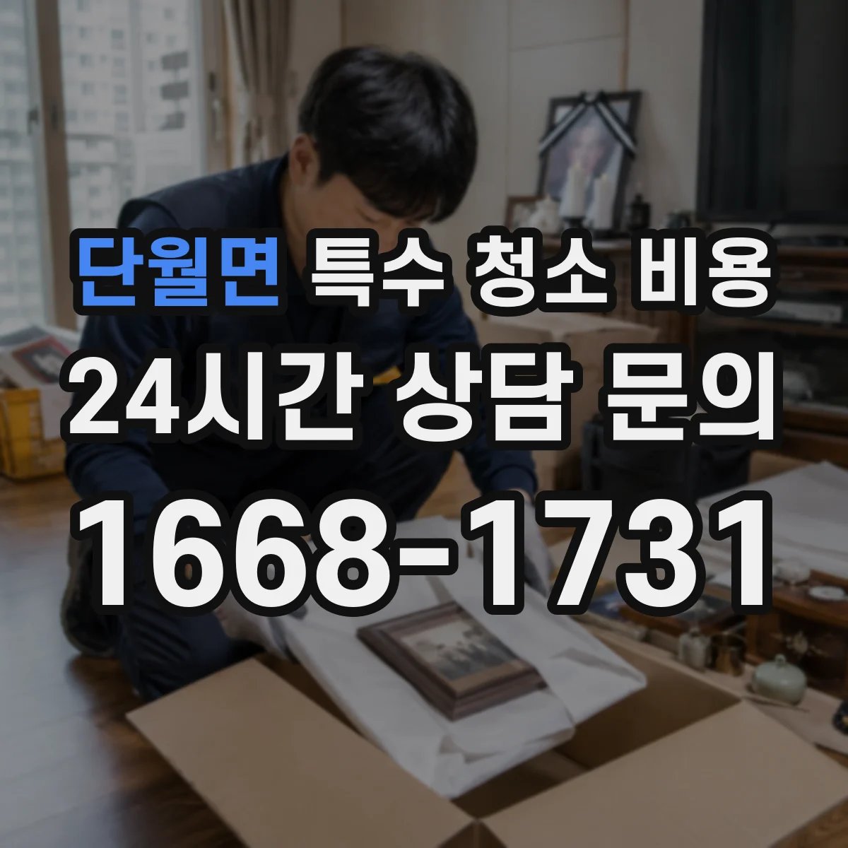 단월면 특수 청소 비용