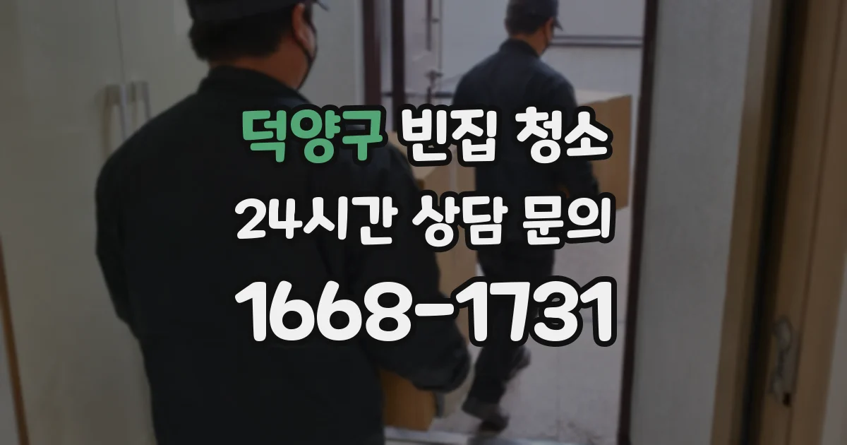 덕양구 빈집 청소