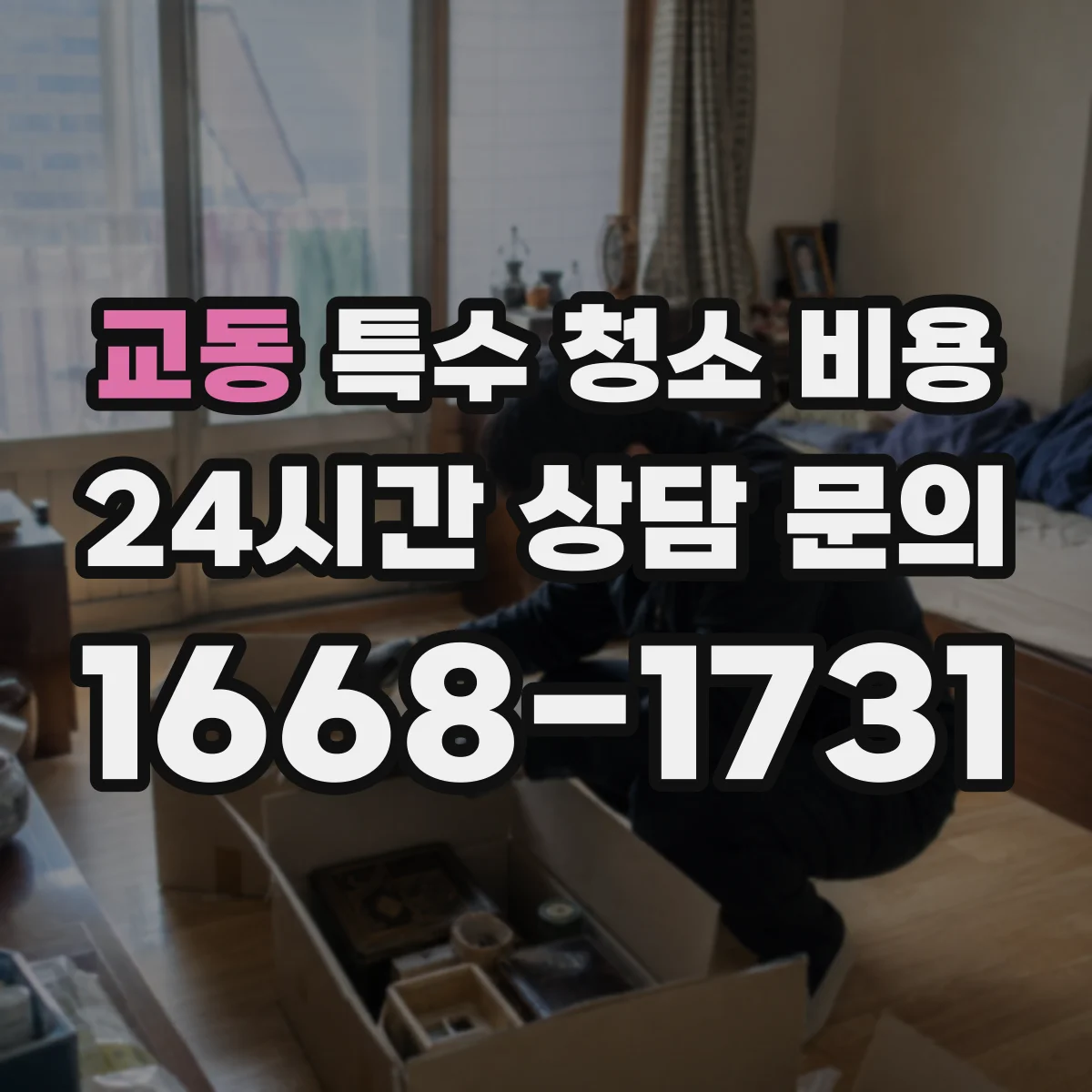 교동 특수 청소 비용