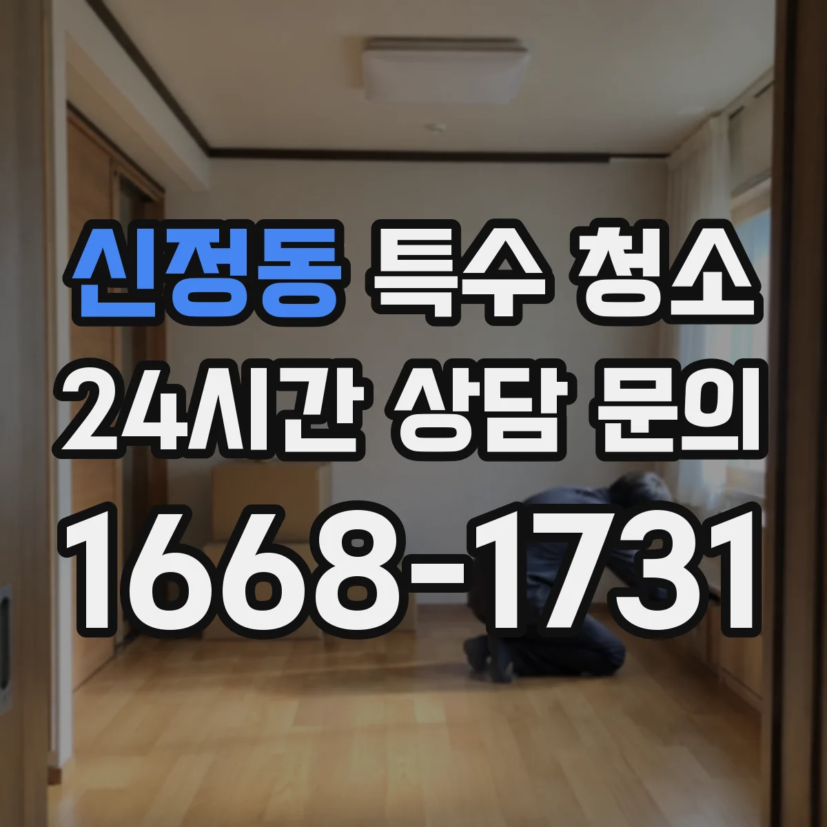 신정동 특수 청소