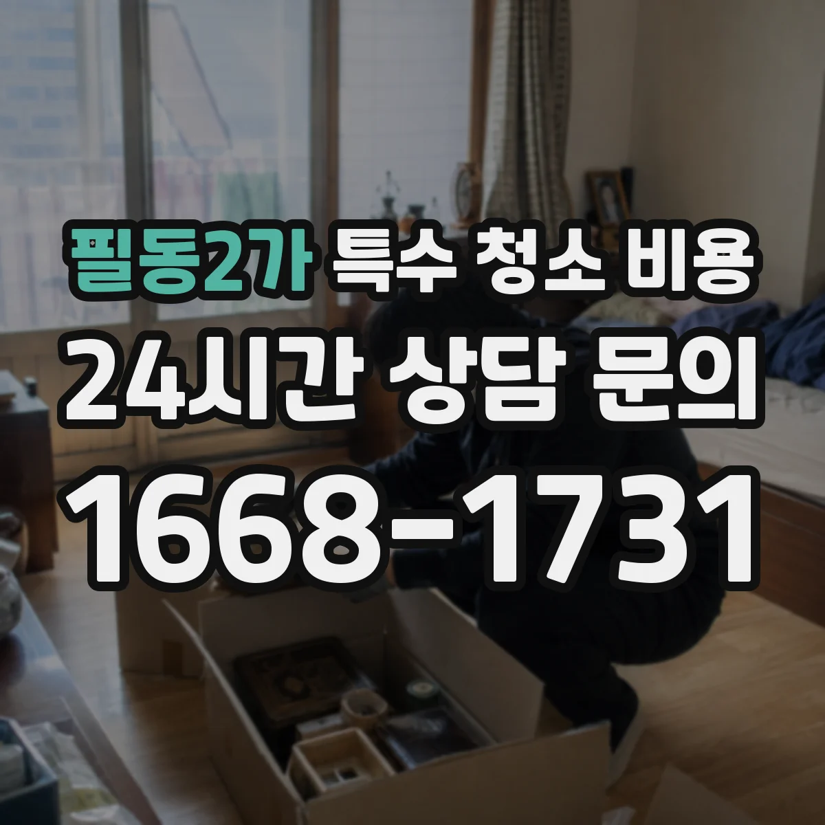 필동2가 특수 청소 비용