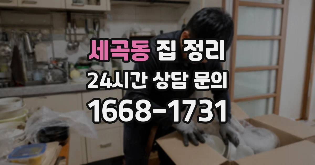 세곡동 집 정리