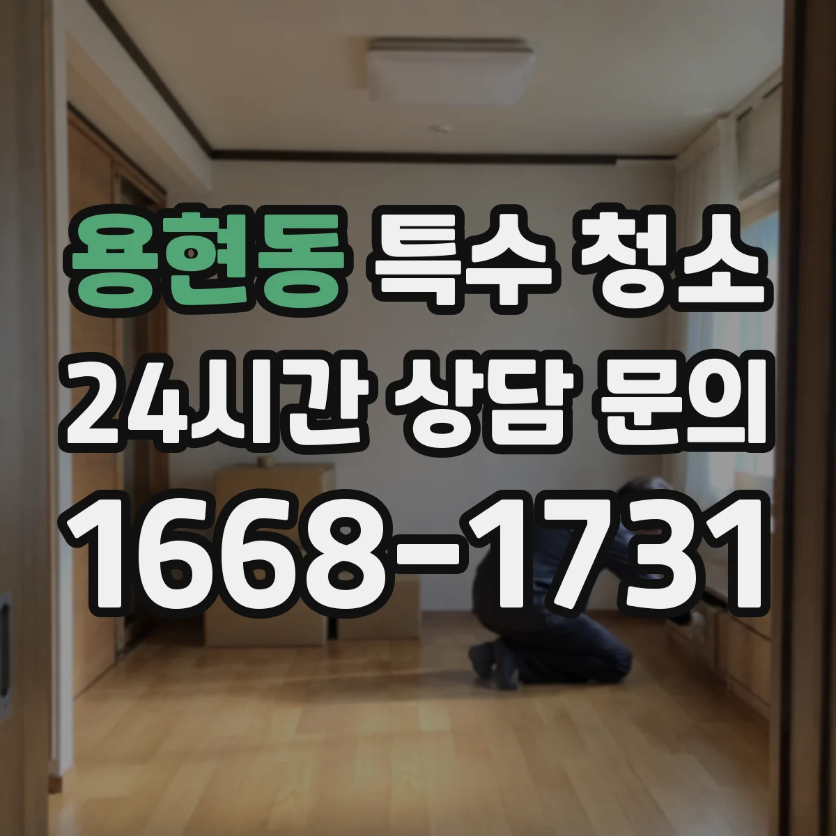 용현동 특수 청소