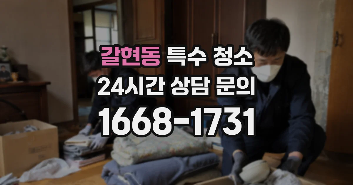 갈현동 특수 청소