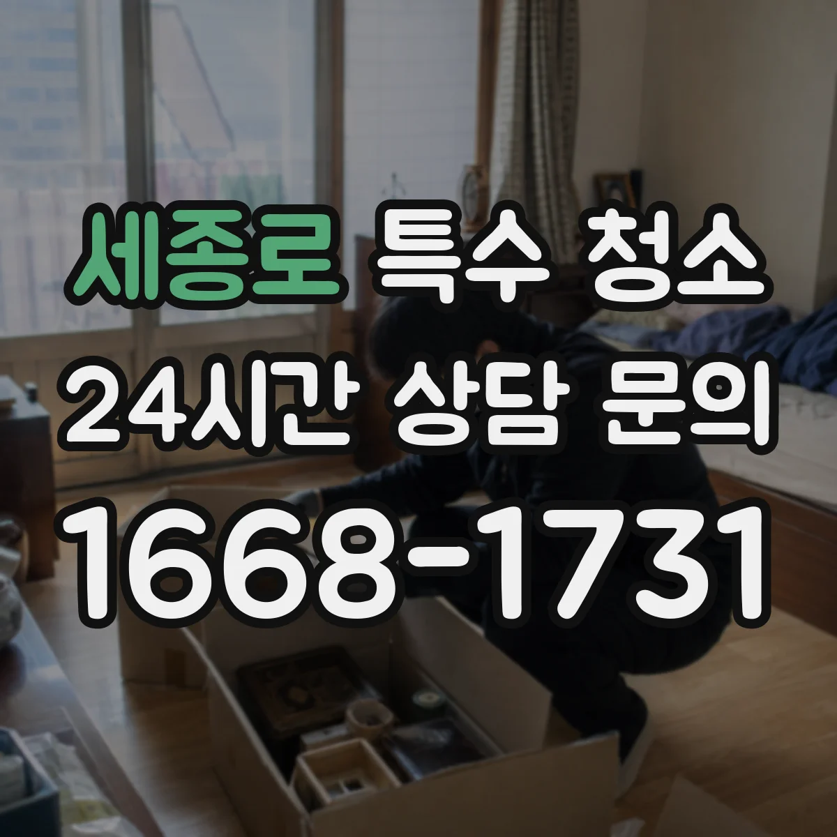 세종로 특수 청소