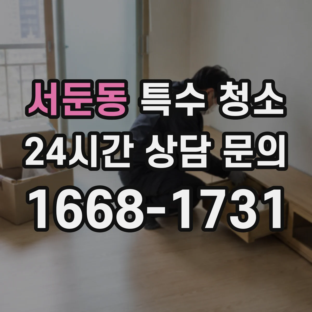 서둔동 특수 청소