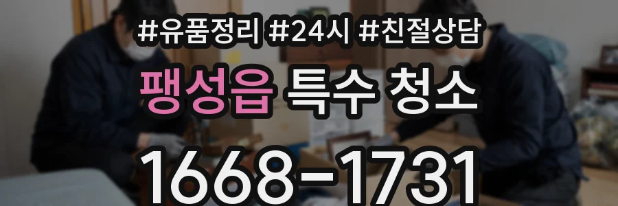 팽성읍 특수 청소