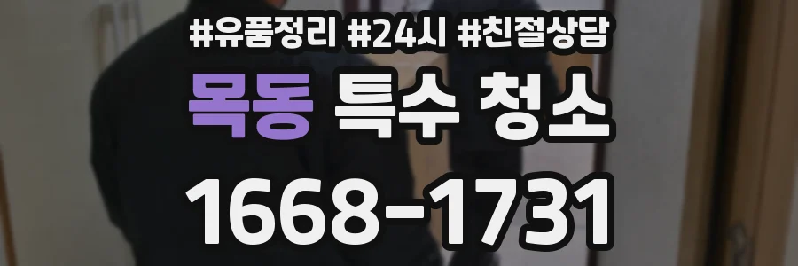 목동 특수 청소