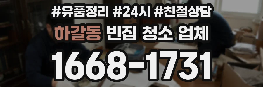 하갈동 빈집 청소 업체
