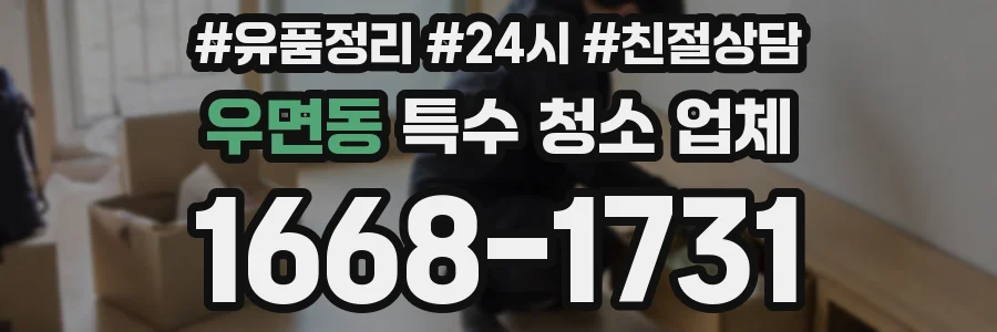 우면동 특수 청소 업체