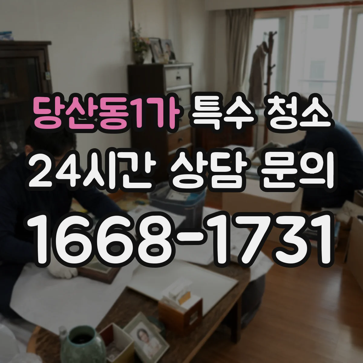 당산동1가 특수 청소