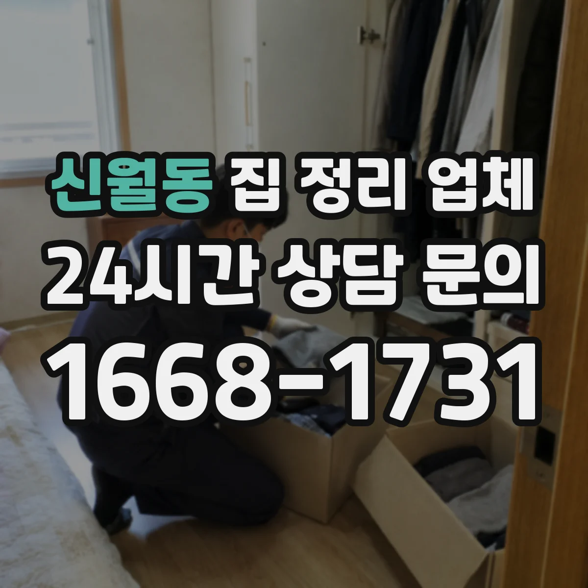 신월동 집 정리 업체