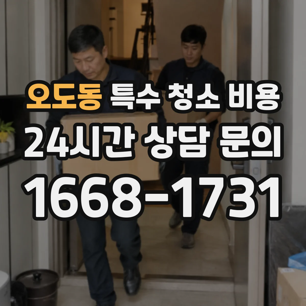 오도동 특수 청소 비용