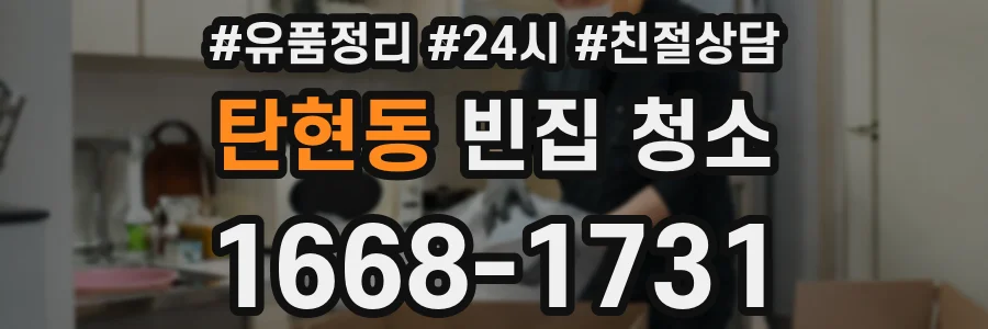 탄현동 빈집 청소
