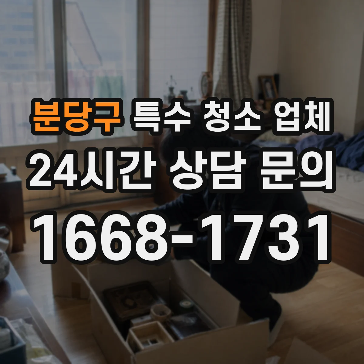 분당구 특수 청소 업체