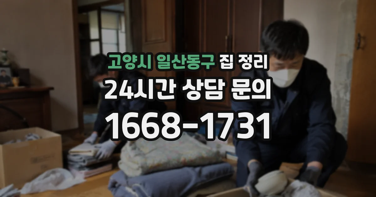 고양시 일산동구 집 정리