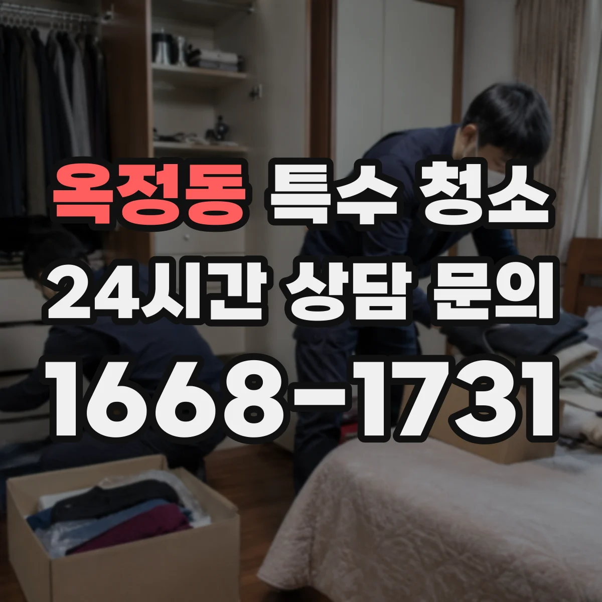 옥정동 특수 청소