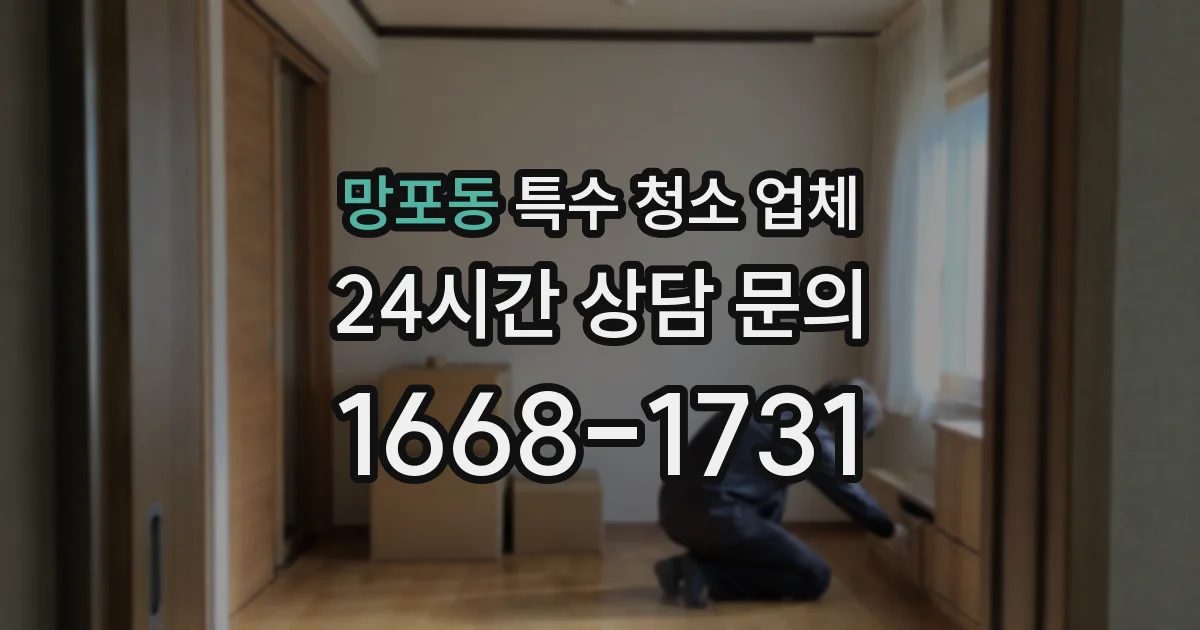 망포동 특수 청소 업체