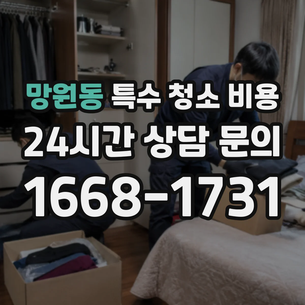 망원동 특수 청소 비용