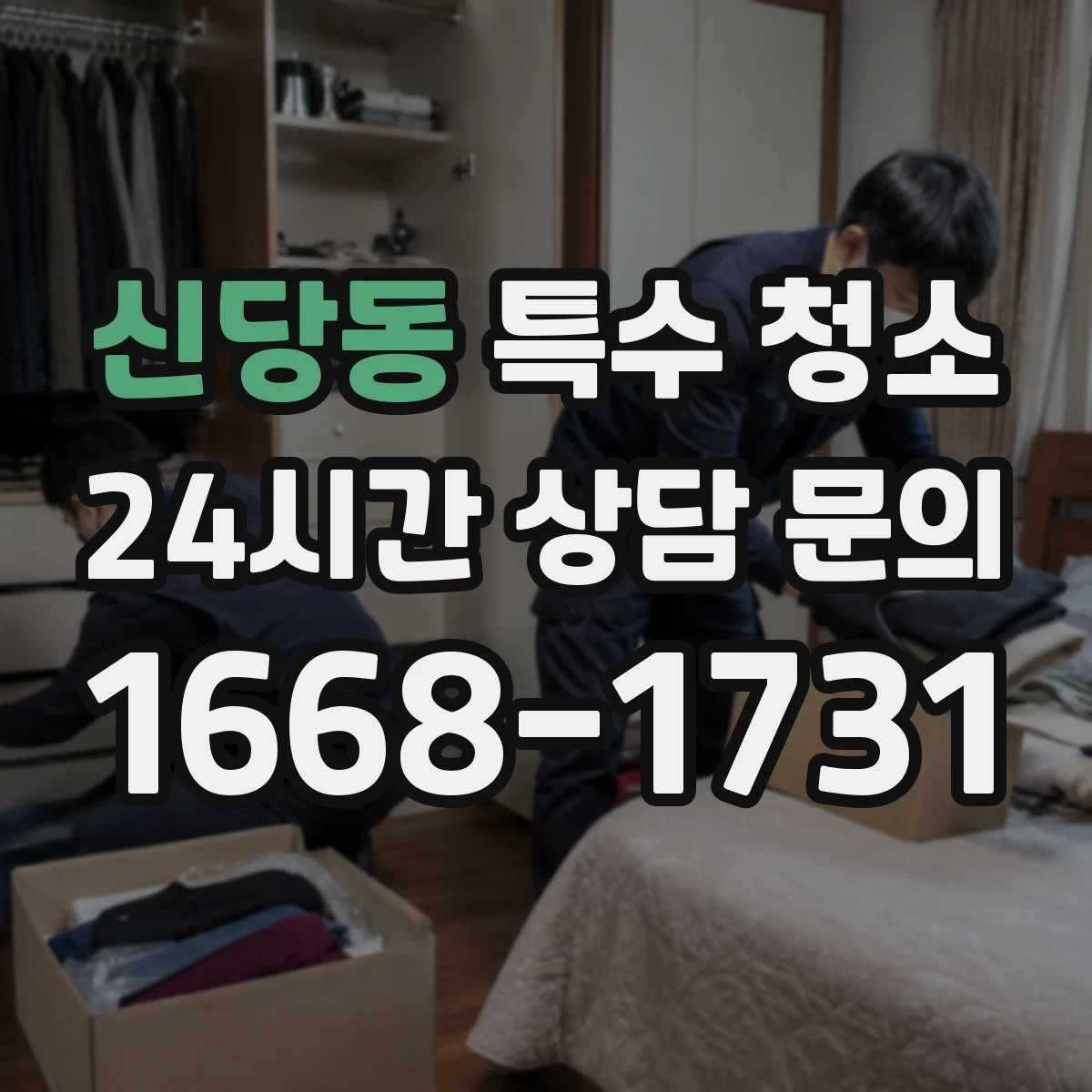 신당동 특수 청소