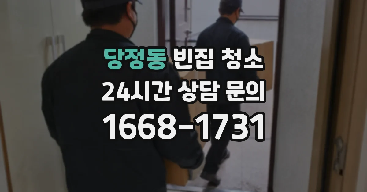 당정동 빈집 청소