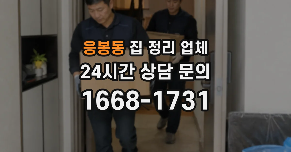 응봉동 집 정리 업체