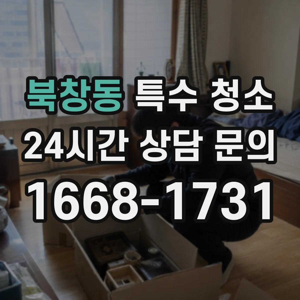 북창동 특수 청소