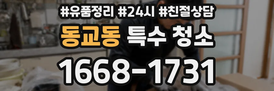 동교동 특수 청소