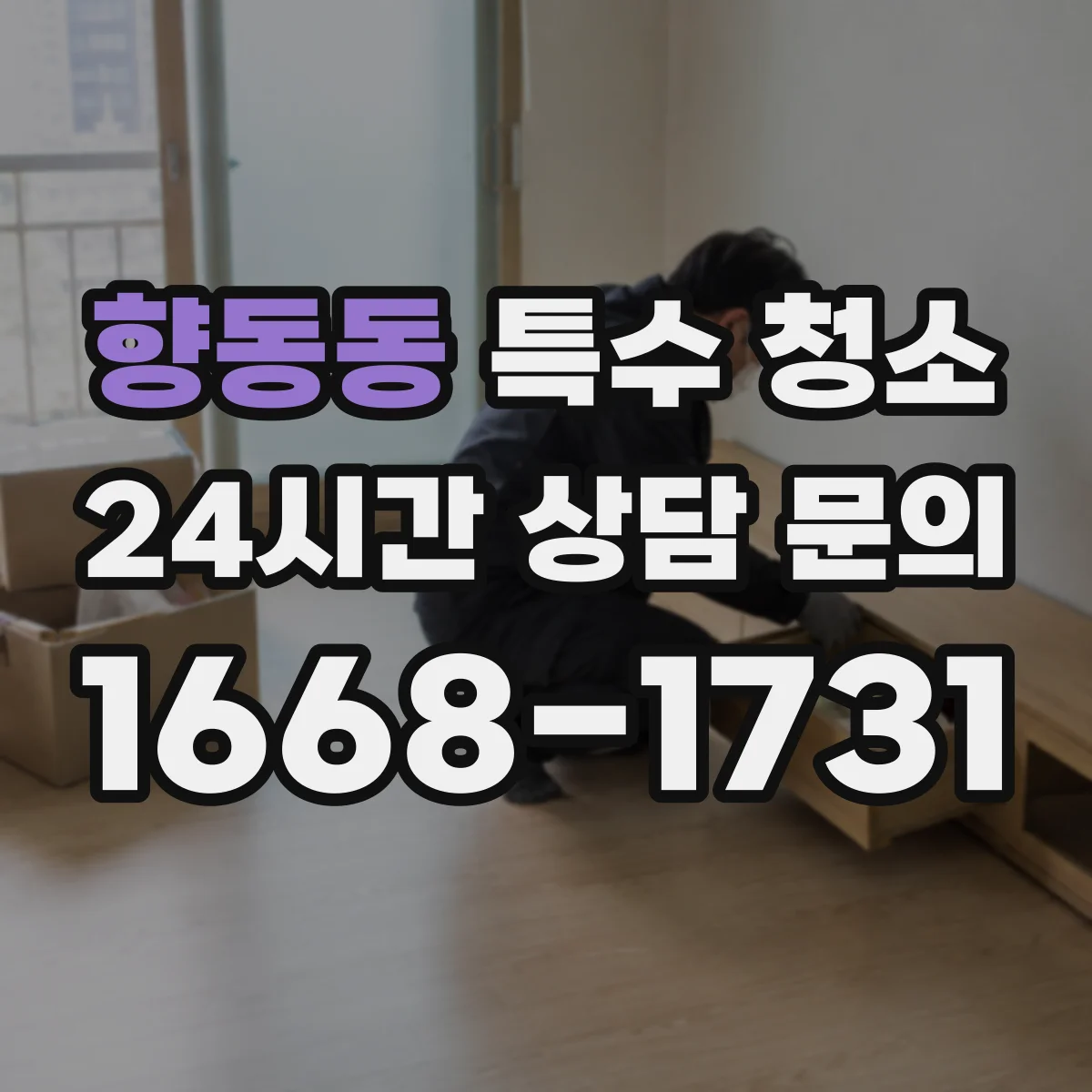 향동동 특수 청소