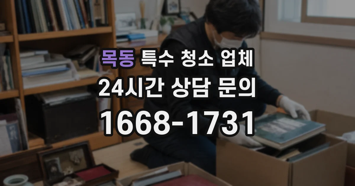 목동 특수 청소 업체