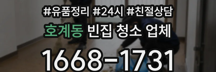 호계동 빈집 청소 업체