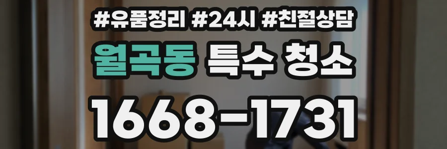 월곡동 특수 청소